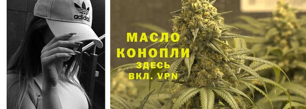 прущие грибы Дмитриев