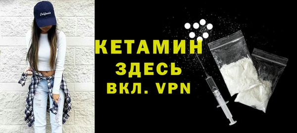 прущие грибы Дмитриев