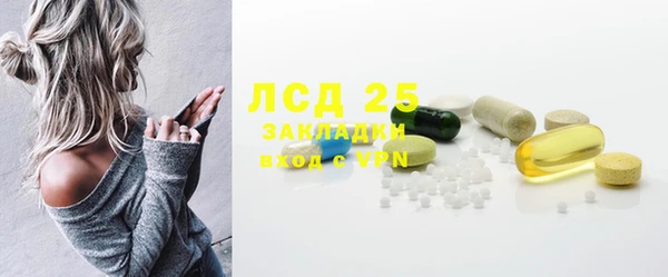 прущие грибы Дмитриев