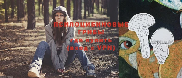 прущие грибы Дмитриев
