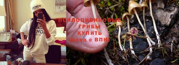 стафф Инта