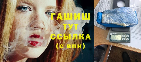 прущие грибы Дмитриев