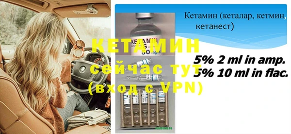 прущие грибы Дмитриев