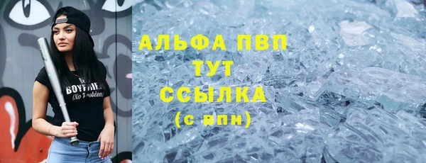 прущие грибы Дмитриев